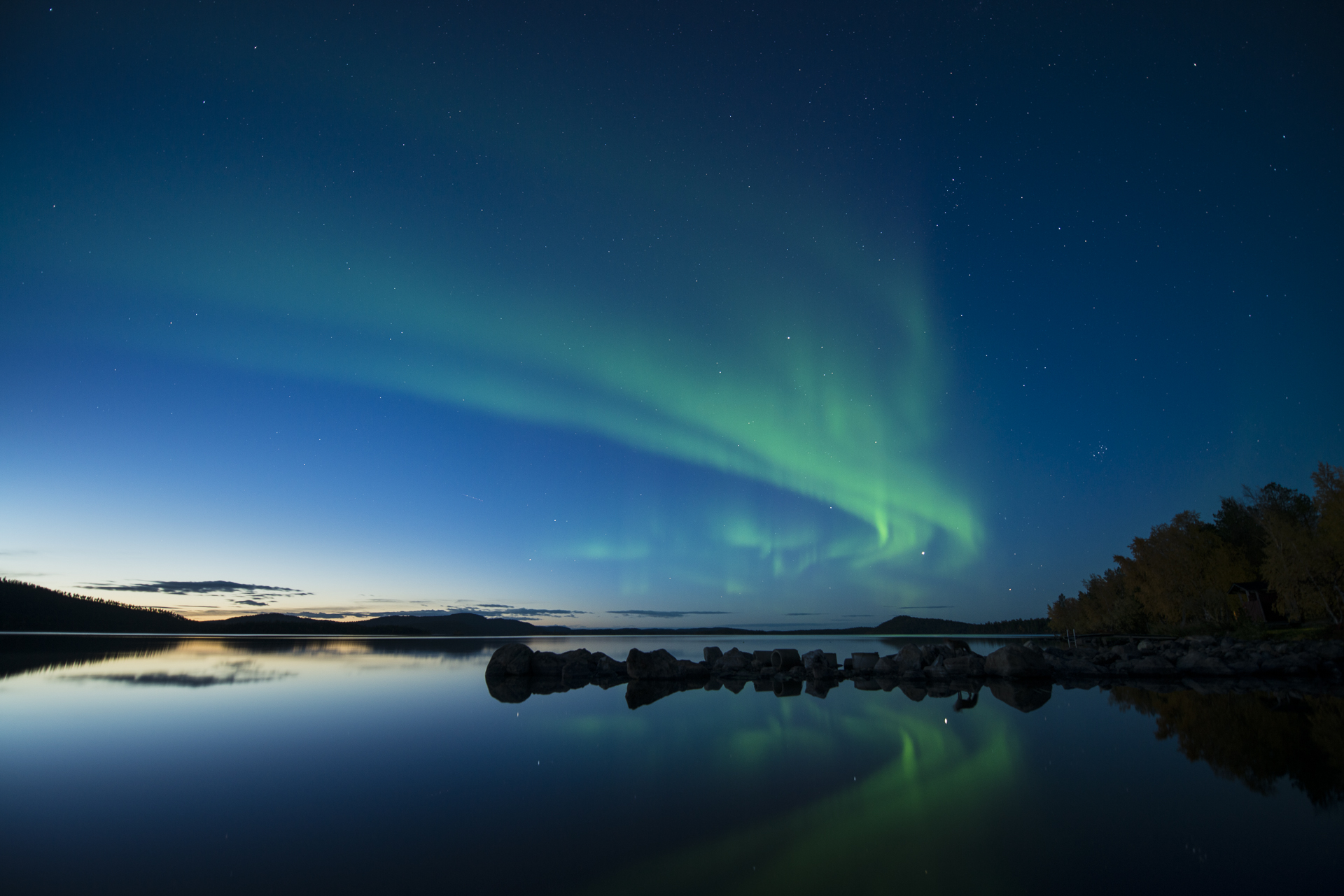 Magie van de natuur in het noorden: ontmoeting met een vos onder het noorderlicht